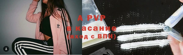 стаф Володарск