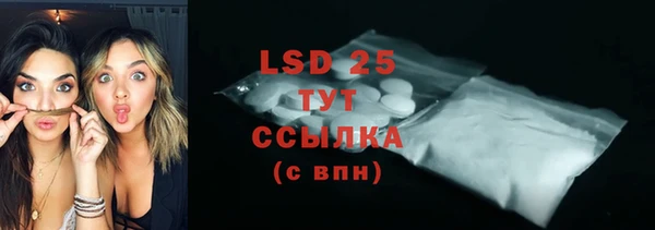 стаф Володарск