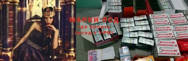 стаф Володарск