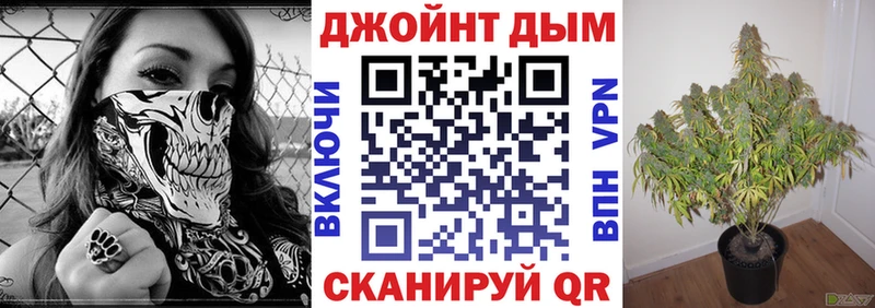 где продают   даркнет телеграм  Конопля конопля  Вольск 